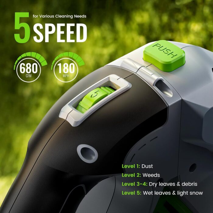 71Omf12KjKL._AC_SL1500_