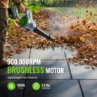 815OA1cqEXL._AC_SL1500_