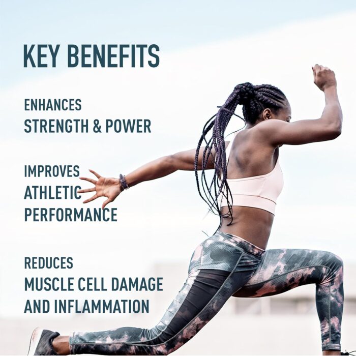 81VlnIWx3PL._AC_SL1500_