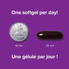 61esBl9x3lL._AC_SL1500_